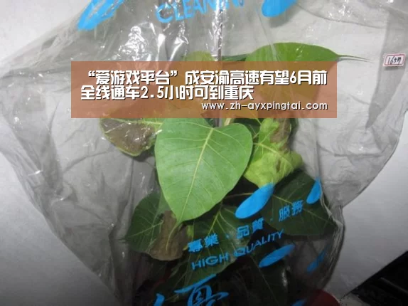 “爱游戏平台”成安渝高速有望6月前全线通车2.5小时可到重庆(图1) 爱游戏平台