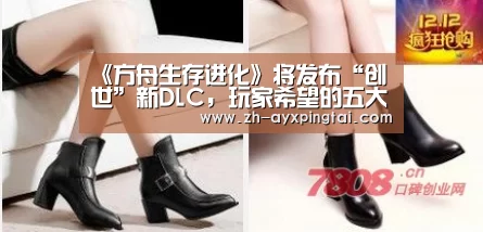 爱游戏平台