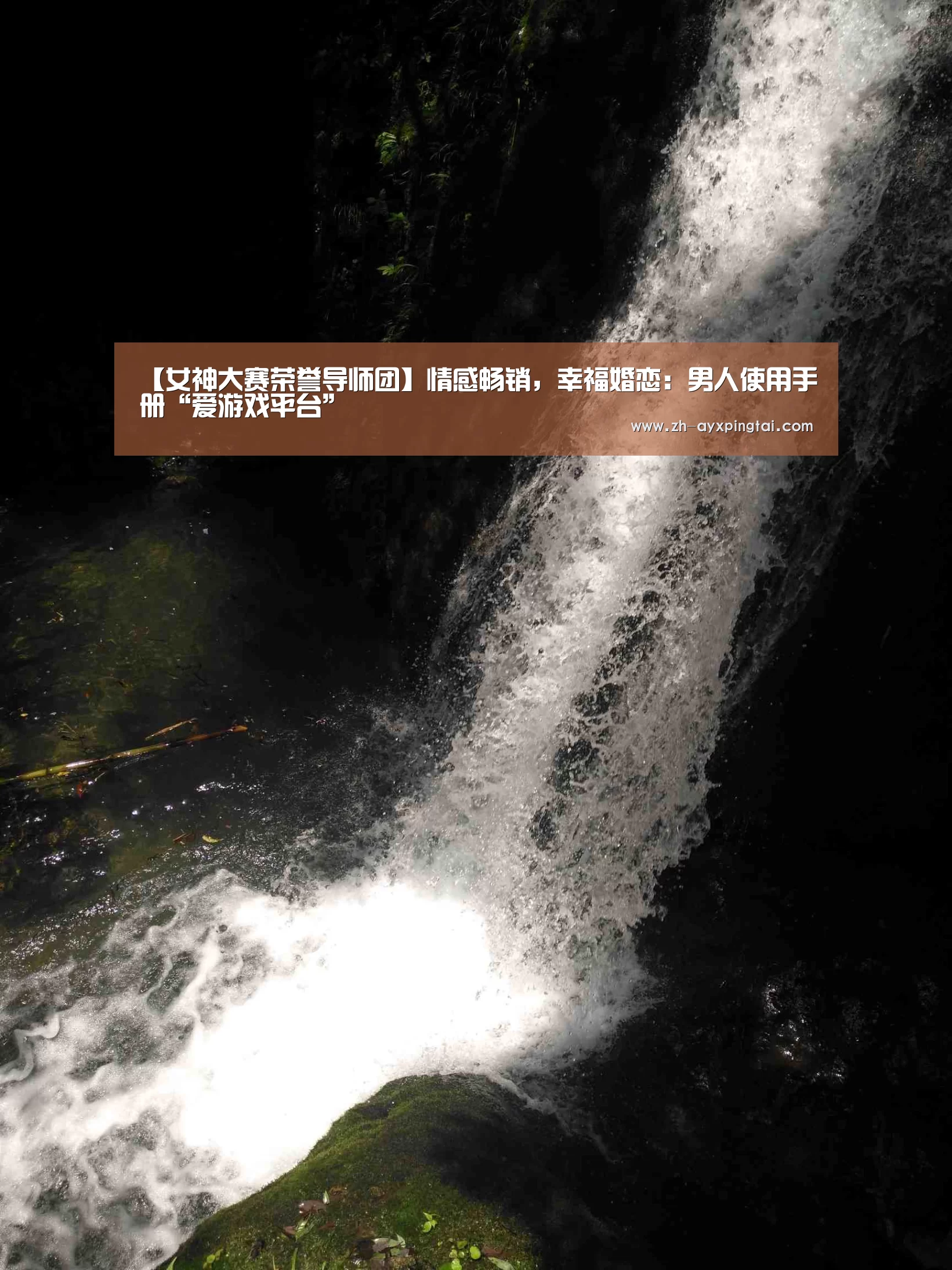 【女神大赛荣誉导师团】情感畅销,幸福婚恋:男人使用手册“爱游戏平台”(图2) 爱游戏平台