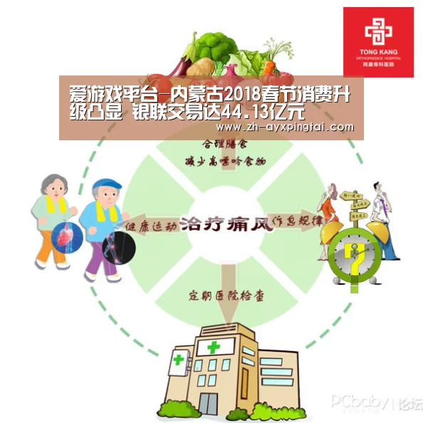 爱游戏平台-内蒙古2018春节消费升级凸显 银联交易达44.13亿元(图2) 爱游戏平台